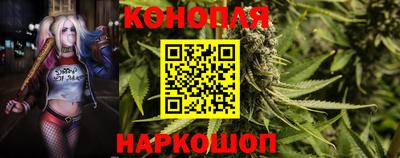 мдпв Новокубанск