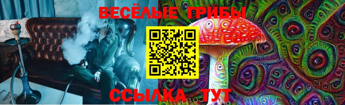Псилоцибиновые грибы GOLDEN TEACHER Сорочинск